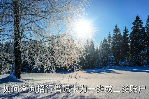 如何查詢(xún)招行借記卡為一類(lèi)或二類(lèi)賬戶(hù)