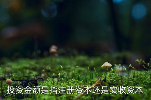 投資金額是指注冊資本還是實(shí)收資本
