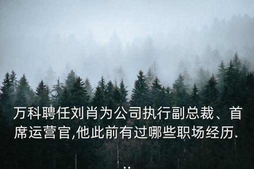  萬科聘任劉肖為公司執(zhí)行副總裁、首席運(yùn)營(yíng)官,他此前有過哪些職場(chǎng)經(jīng)歷...