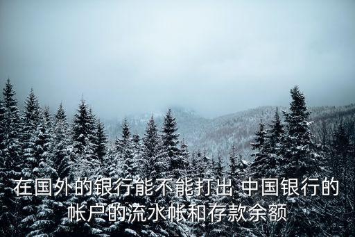 在國(guó)外的銀行能不能打出 中國(guó)銀行的帳戶的流水帳和存款余額