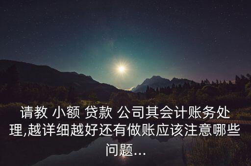 請教 小額 貸款 公司其會計(jì)賬務(wù)處理,越詳細(xì)越好還有做賬應(yīng)該注意哪些問題...