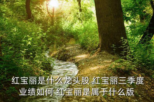  紅寶麗是什么龍頭股 紅寶麗三季度業(yè)績如何 紅寶麗是屬于什么版