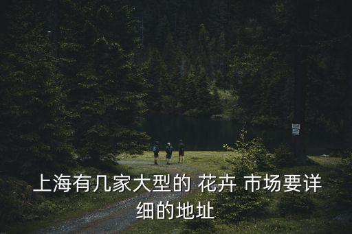 上海大龍花卉市場(chǎng),上?；ɑ苁袌?chǎng)一覽表