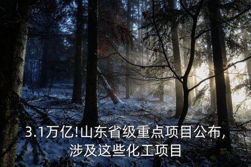 3.1萬億!山東省級重點(diǎn)項(xiàng)目公布,涉及這些化工項(xiàng)目