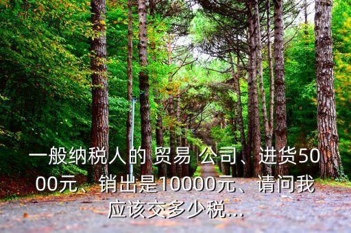 一般納稅人的 貿(mào)易 公司、進(jìn)貨5000元、銷出是10000元、請問我應(yīng)該交多少稅...