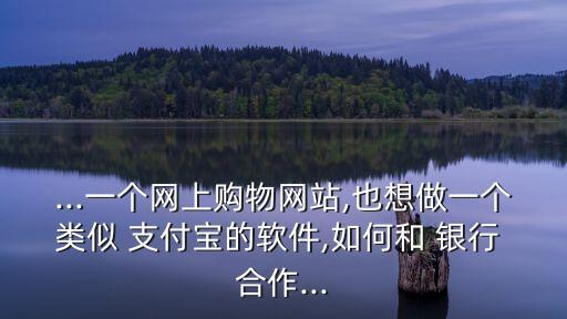 ...一個網上購物網站,也想做一個類似 支付寶的軟件,如何和 銀行 合作...