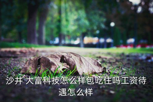 深圳市大富網(wǎng)絡技術有限公司