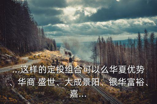 ...這樣的定投組合可以么華夏優(yōu)勢(shì)、華商 盛世、大成景陽(yáng)、銀華富裕、嘉...