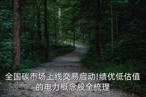全國碳市場上線交易啟動(dòng)!績優(yōu)低估值的電力概念股全梳理