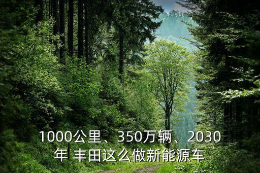 1000公里、350萬(wàn)輛、2030年 豐田這么做新能源車(chē)