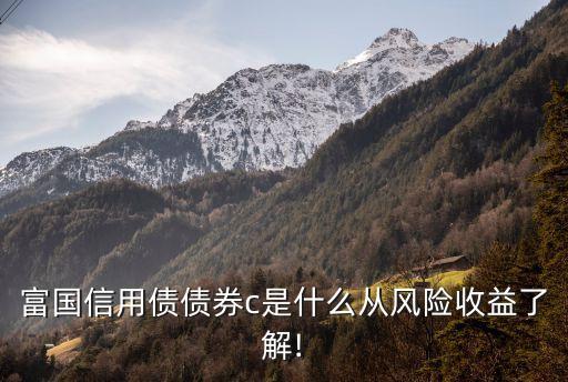 富國信用債債券c是什么從風險收益了解!