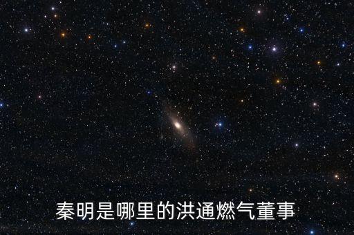 秦明是哪里的洪通燃氣董事