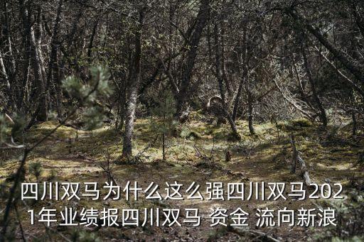 中國(guó)建筑實(shí)時(shí)資金流向
