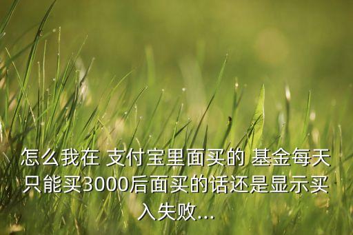 怎么我在 支付寶里面買(mǎi)的 基金每天只能買(mǎi)3000后面買(mǎi)的話還是顯示買(mǎi)入失敗...