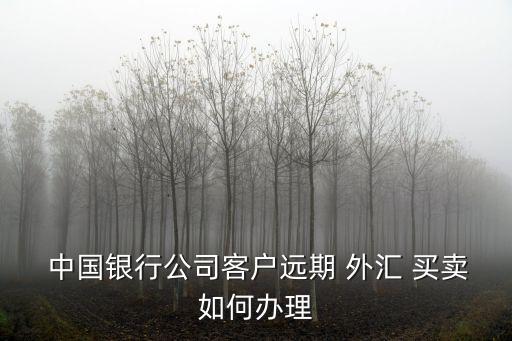  中國(guó)銀行公司客戶遠(yuǎn)期 外匯 買賣如何辦理