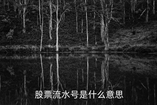  股票流水號是什么意思