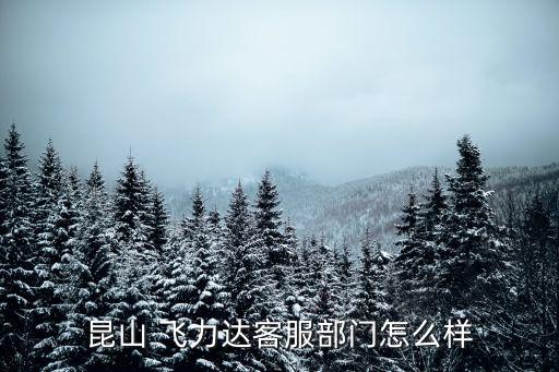 昆山 飛力達(dá)客服部門(mén)怎么樣