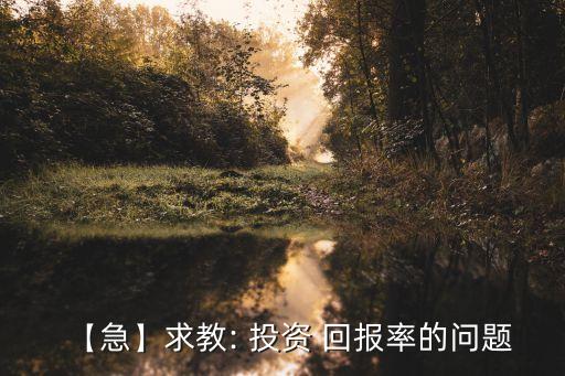 【急】求教: 投資 回報率的問題