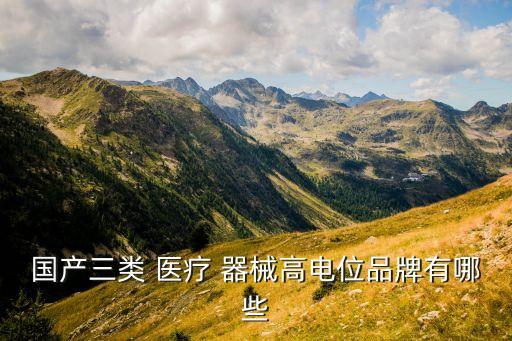 國產三類 醫(yī)療 器械高電位品牌有哪些