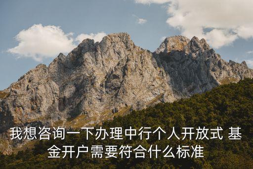 我想咨詢一下辦理中行個(gè)人開(kāi)放式 基金開(kāi)戶需要符合什么標(biāo)準(zhǔn)