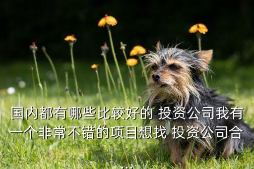 國內都有哪些比較好的 投資公司我有一個非常不錯的項目想找 投資公司合...