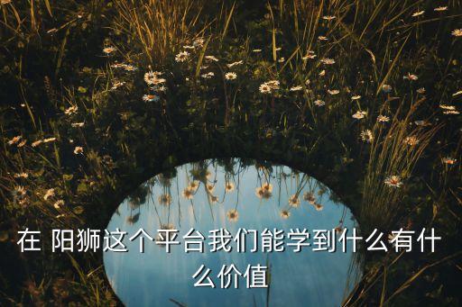 法國陽獅集團(tuán)