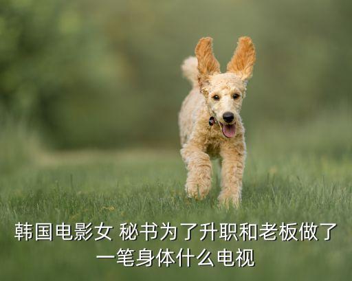 韓國(guó)電影女 秘書(shū)為了升職和老板做了一筆身體什么電視