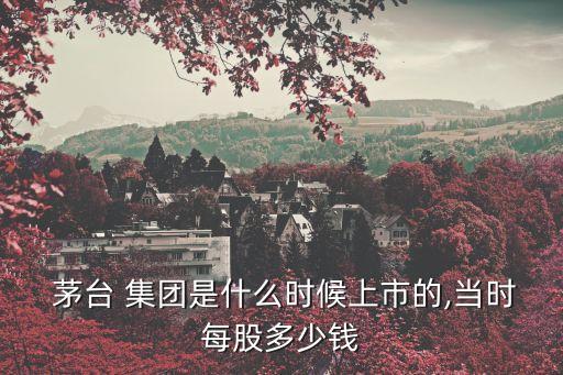  茅臺 集團是什么時候上市的,當時每股多少錢