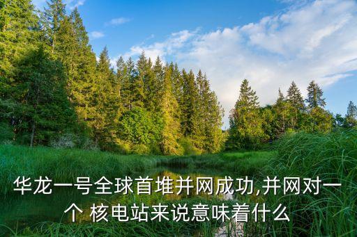 中國核電新型號(hào)出口