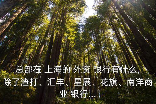 總部在 上海的 外資 銀行有什么,除了渣打、匯豐、星展、花旗、南洋商業(yè) 銀行...