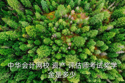 海南瑞衡資產評估公司,北京中瑞世聯資產評估公司
