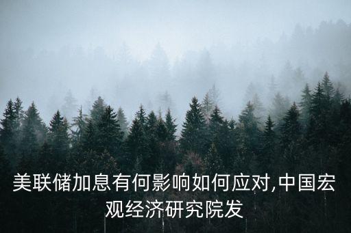美聯(lián)儲(chǔ)加息有何影響如何應(yīng)對(duì),中國(guó)宏觀經(jīng)濟(jì)研究院發(fā)