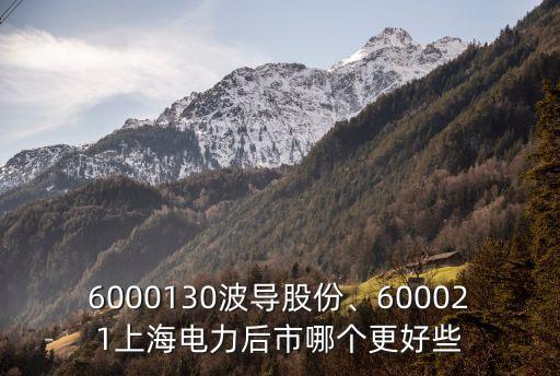 6000130波導(dǎo)股份、600021上海電力后市哪個(gè)更好些