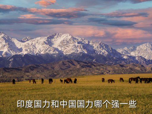  印度國力和中國國力哪個(gè)強(qiáng)一些