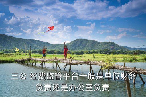  三公 經(jīng)費監(jiān)管平臺一般是單位財務負責還是辦公室負責