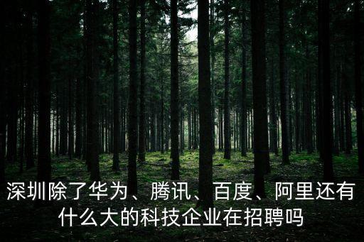 深圳除了華為、騰訊、百度、阿里還有什么大的科技企業(yè)在招聘嗎