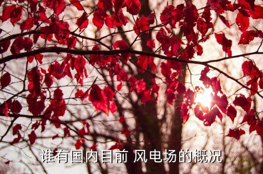 誰有國內(nèi)目前 風電場的概況
