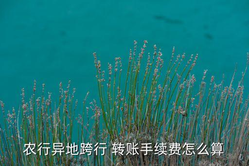 農(nóng)行異地跨行 轉賬手續(xù)費怎么算