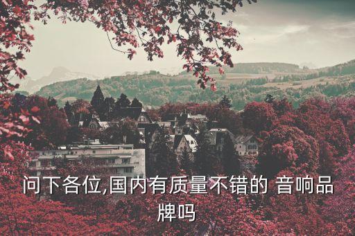 問下各位,國內(nèi)有質(zhì)量不錯的 音響品牌嗎