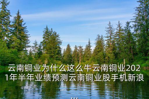 云南銅業(yè)為什么這么牛云南銅業(yè)2021年半年業(yè)績預(yù)測云南銅業(yè)股手機(jī)新浪...