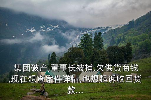  集團破產(chǎn),董事長被捕,欠供貨商錢,現(xiàn)在想查案件詳情,也想起訴收回貨款...