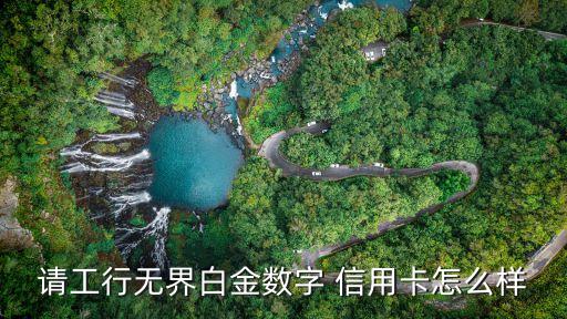 請(qǐng)工行無(wú)界白金數(shù)字 信用卡怎么樣