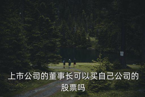  上市公司的董事長(zhǎng)可以買自己公司的 股票嗎