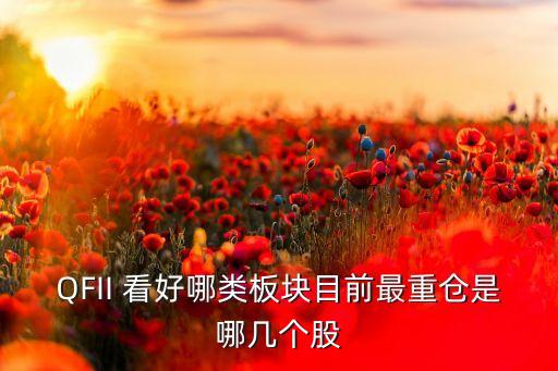 QFII 看好哪類板塊目前最重倉(cāng)是哪幾個(gè)股