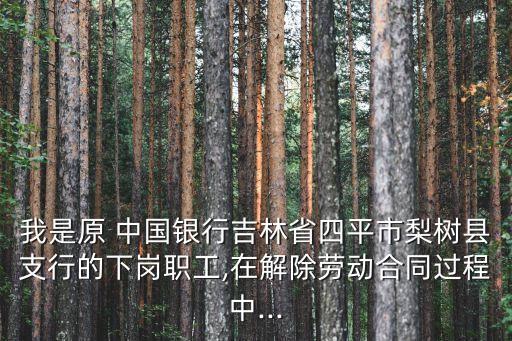 我是原 中國銀行吉林省四平市梨樹縣支行的下崗職工,在解除勞動(dòng)合同過程中...