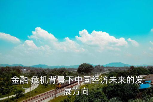  金融 危機背景下中國經(jīng)濟(jì)未來的發(fā)展方向