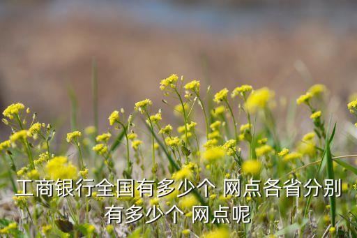 工商銀行全國有多少個 網(wǎng)點(diǎn)各省分別有多少個 網(wǎng)點(diǎn)呢
