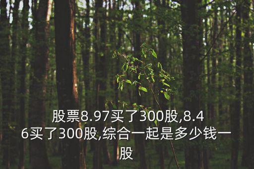  股票8.97買(mǎi)了300股,8.46買(mǎi)了300股,綜合一起是多少錢(qián)一股