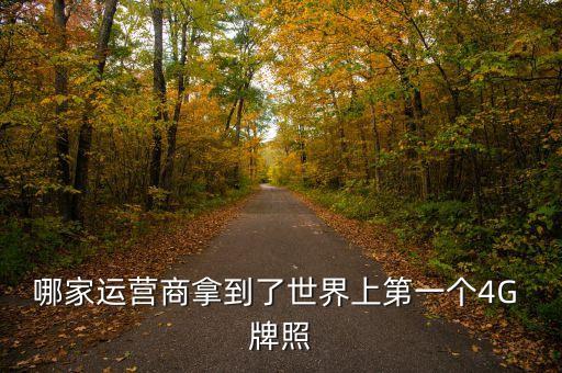 哪家運(yùn)營商拿到了世界上第一個(gè)4G 牌照