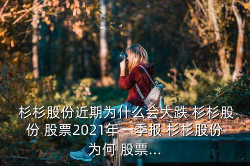  杉杉股份近期為什么會大跌 杉杉股份 股票2021年一季報(bào) 杉杉股份為何 股票...